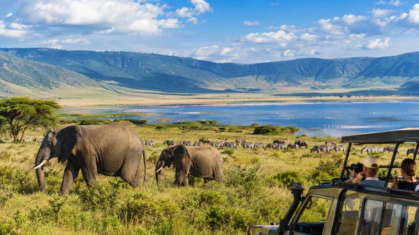 Ngorongoro Conservation Area