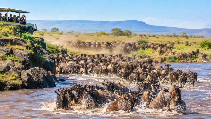 Serengeti Great Migration Safari Guide