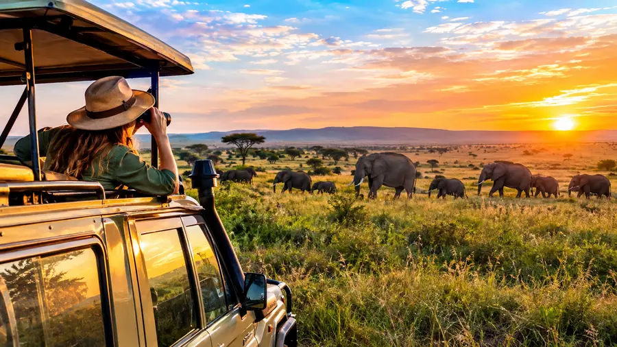 Serengeti Safari Cost and Budgeting Guide