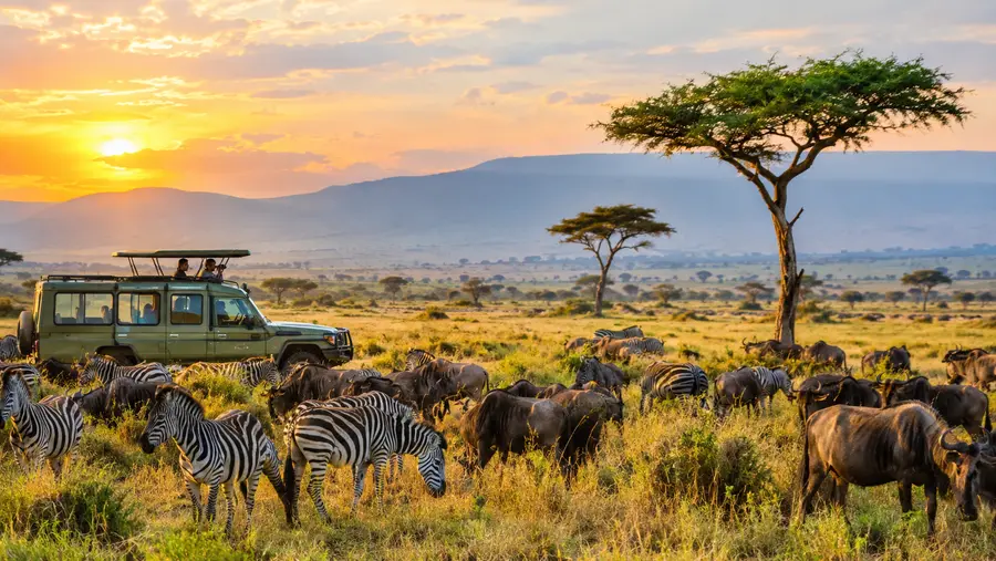 Tanzania Safari Combinations: Serengeti, Ngorongoro, and Beyond