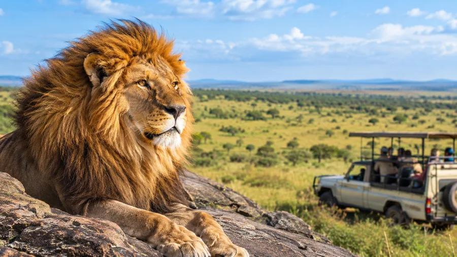 Top Things to Do on a Serengeti Safari